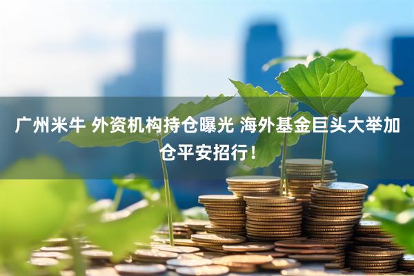 广州米牛 外资机构持仓曝光 海外基金巨头大举加仓平安招行！