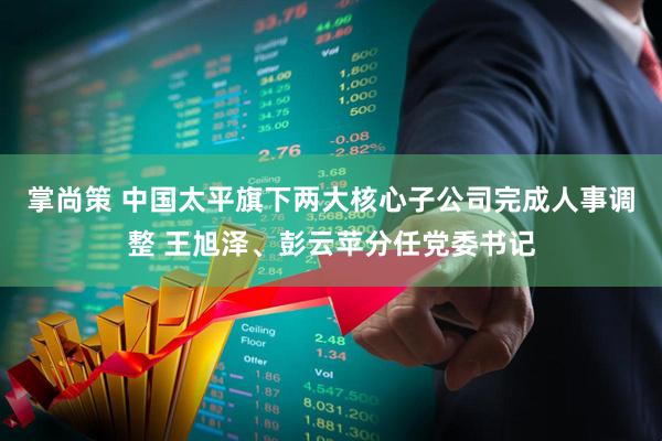 掌尚策 中国太平旗下两大核心子公司完成人事调整 王旭泽、彭云苹分任党委书记
