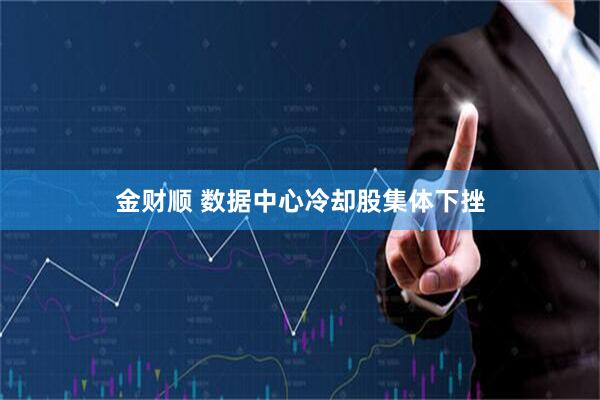 金财顺 数据中心冷却股集体下挫