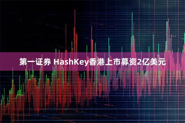 第一证券 HashKey香港上市募资2亿美元